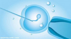 2025南宁第三代试管婴儿费用明细一览？必须学会这几招！