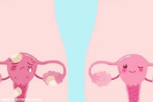 广东惠州三代试管助孕机构哪家好,内附试管详情!