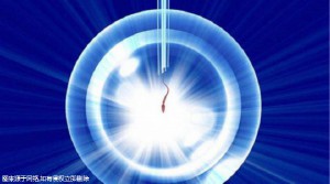 试管VIP服务_试管移植鲜胚和囊胚哪个成功率高!附等待时间一览!