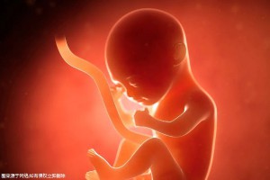 柬埔寨诺芽某医院高龄试管辅助生育要多少钱？附具体项目分享！