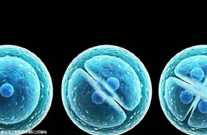 2025泰国试管国内正规机构有哪些!宝妈点评!