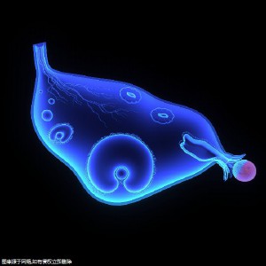 同性恋在柬埔寨做试管婴儿是合法的吗？费用这一块呢？