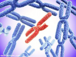 滨州试管婴儿疼吗?附具体试管费用!