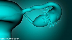 北医三院三代试管费用总共要多少钱，附价格一览表！