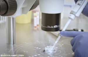 威海哪个医院能做试管婴儿！附带明细一览！