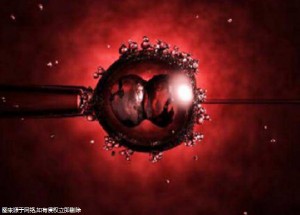 潍坊三代试管好不好，费用一般多少钱！