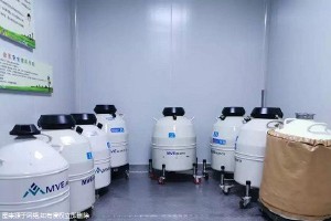 泰国做试管婴儿可靠吗,技术情况如何!