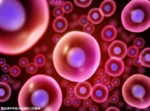 肇庆正规医院做试管婴儿费用怎么收,费用3万吗?