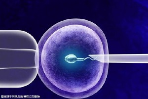 国内可以未婚做试管婴儿吗？成功率分享一览！