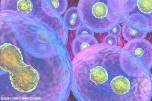 青岛做第三代试管婴儿要多少钱，看一下就知道！