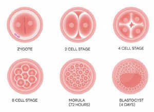 泰国试管一般几次成功!性价比怎么样!