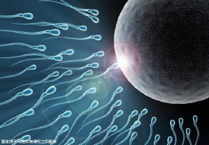 枣庄试管婴儿医院哪家较好！15万足以！