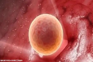 西安试管的价格！附最全费用明细！