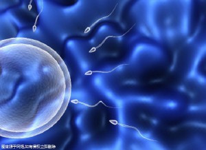 国内单身试管婴儿怎么做，附三甲医院名单！