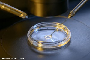 泰国第三代试管助孕生子医院！大概价格是多少！