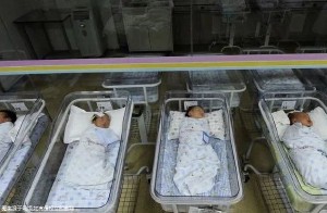 柬埔寨诺芽某医院高龄三代试管婴儿成功率如何，预备13够不！