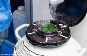 广州可以报销标题三代试管婴儿的费用吗！价格差异大！