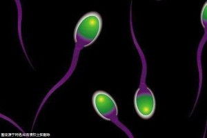 泰国做试管婴儿流程！5万够不够！