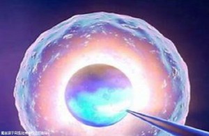 中山三代试管婴儿更好的三代试管婴儿医院名单是什么，最新价格参考！
