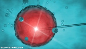 黄石试管饮食需要注意什么！要十万吗？